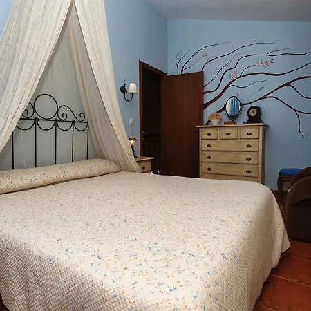 Casa Rural Mis Dos Girasoles Holiday home Conil De La Frontera